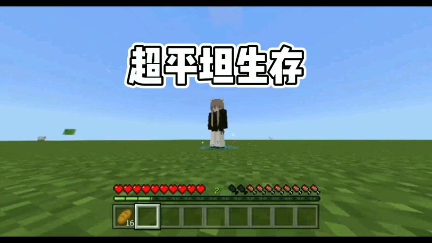 我的世界超平坦