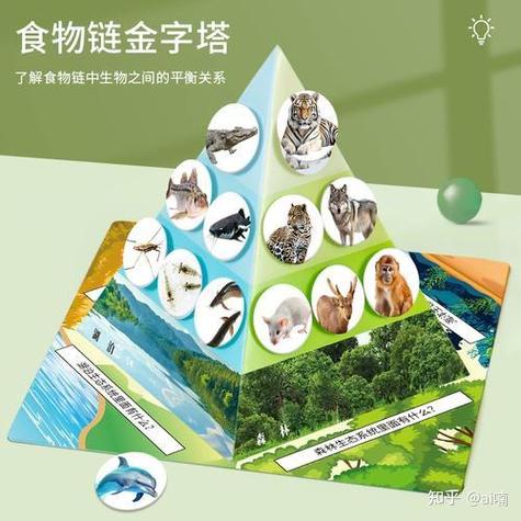 人类是食物链顶端吗