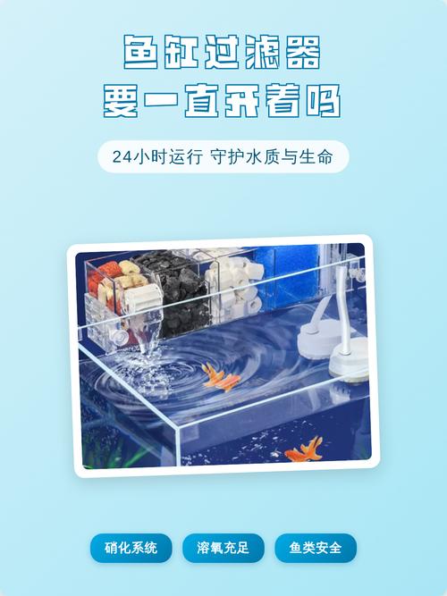 鱼缸里的过滤器要一直开着吗