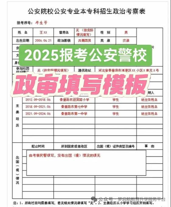 2026年政审表