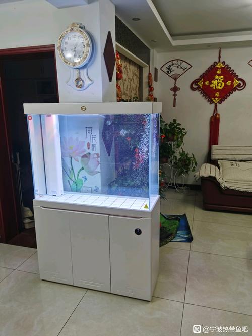 购买鱼缸到什么店