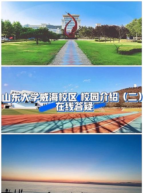 山东大学(威海)学工系统缩略图