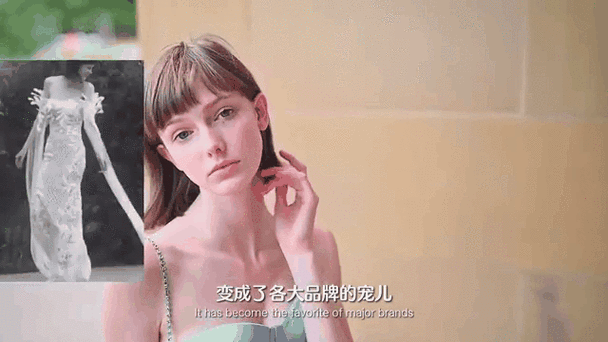 莎凡娜布莱德《黑客帝国》