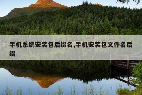手机安装包格式vqs