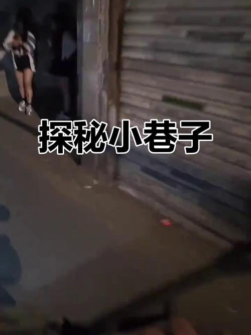 小巷子的秘密事件安卓直装附攻略