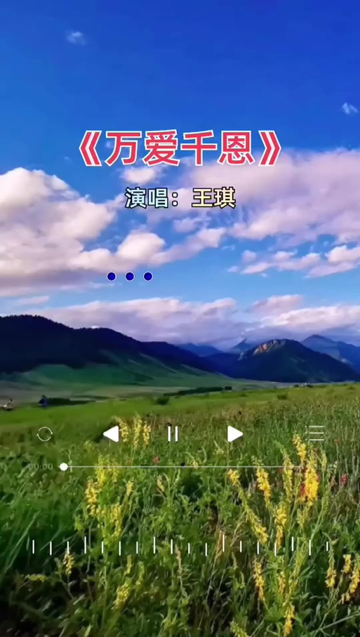 歌曲千恩万谢王琪原唱游戏截图