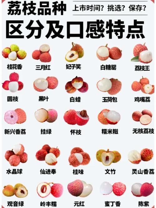 荔枝如何保存