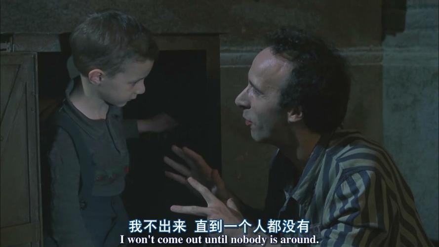 美丽人生中英字幕版在线看