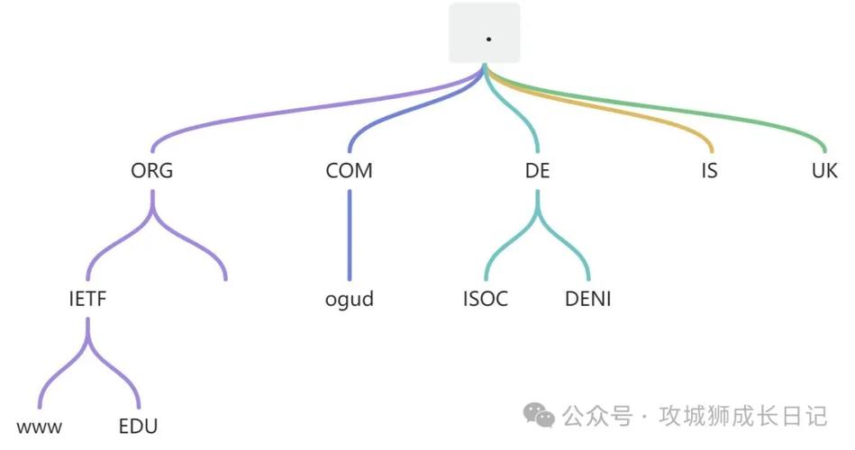 dns域名解析
