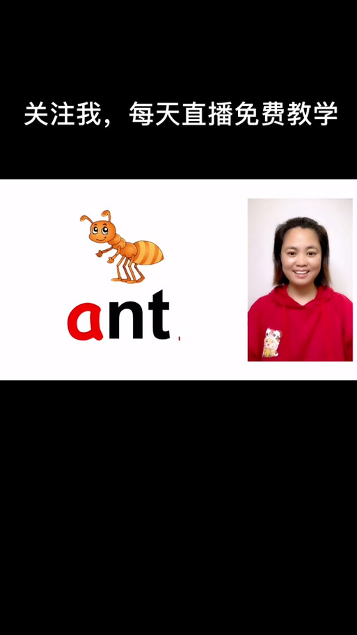蚂蚁用英语怎么读ant
