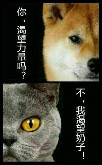 你渴望力量吗 不我渴望奶