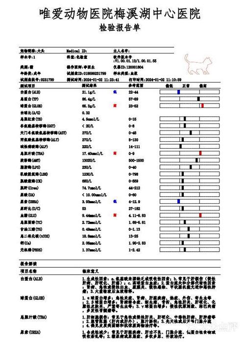 猫传腹的早期症状和表现缩略图