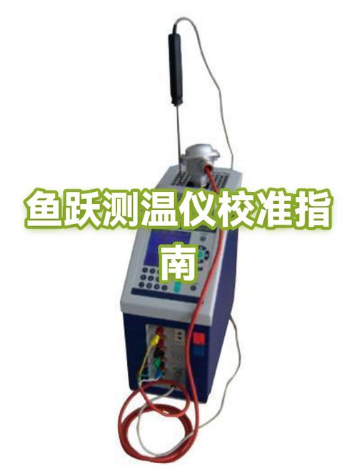 鱼跃体温枪怎么校准游戏截图