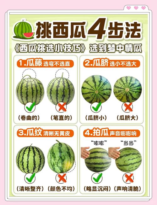 挑西瓜游戏规则缩略图