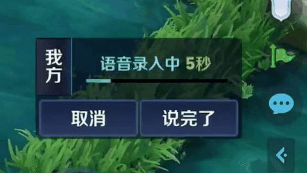我点王者语音输入不了