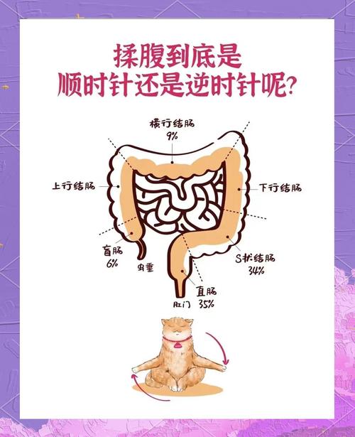 揉肚子肠鸣视频缩略图