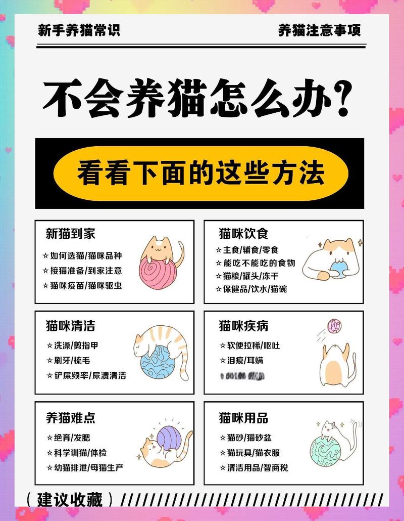 猎人带什么宠物