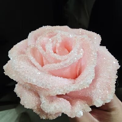 红玫瑰的优点