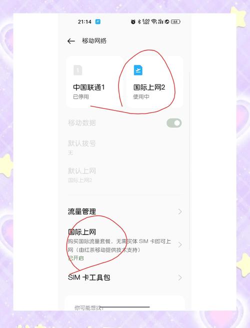 国际上网功能是什么