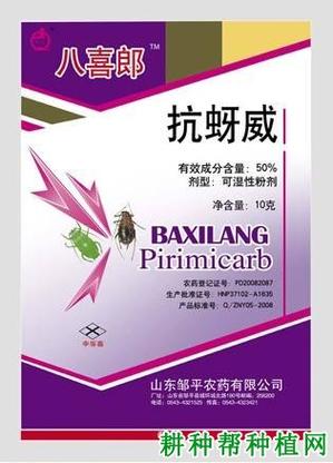 蚜虫用什么药最有效截图