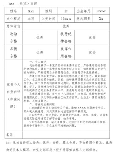 党员先锋指数互评自评模板