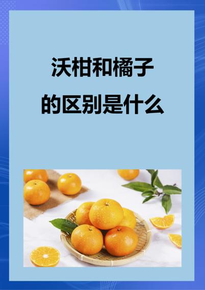 沙糖桔和沃柑区别