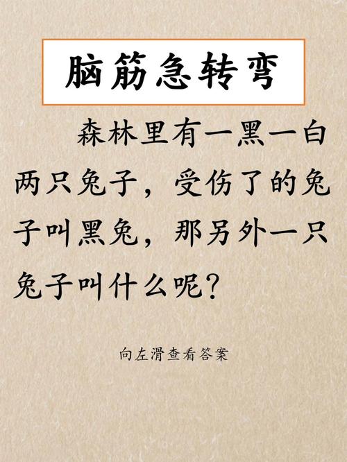 两只兔子脑筋急转弯图片
