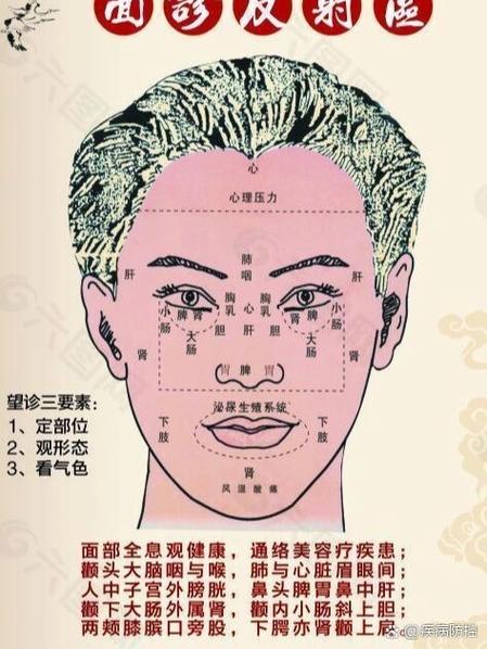 面诊十二句口诀