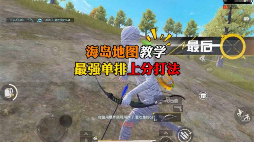 和平精英海岛地图上分缩略图