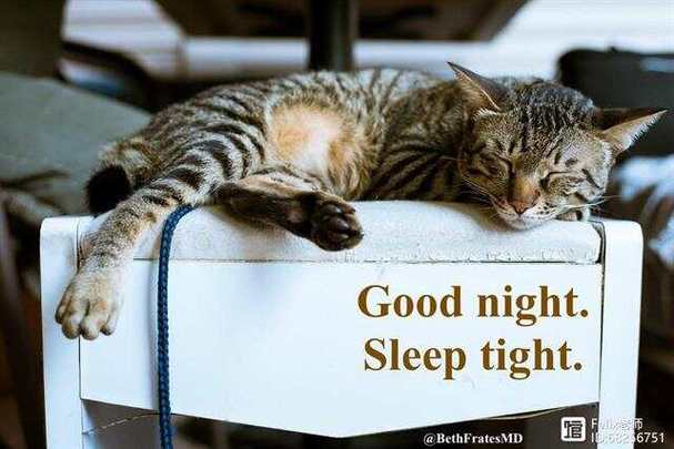 sleep tight 怎么读
