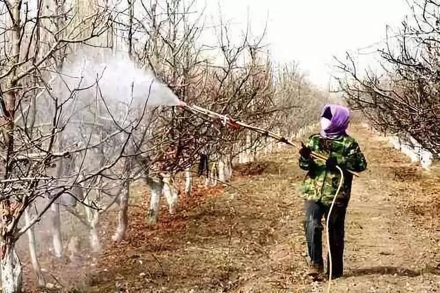 苹果手机冬天冻关机怎么办