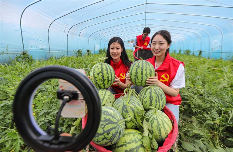 西瓜直播的提成是多少截图