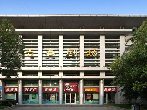 26岁在线观看完整免费版电视剧