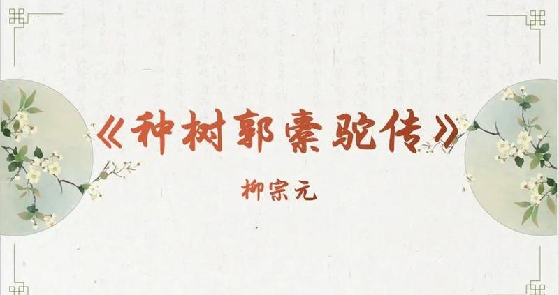 种树的寓言故事