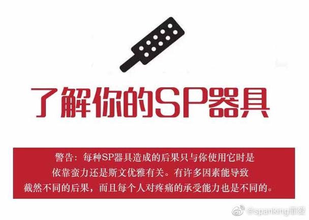 SP是什么类型的APP