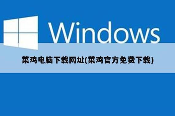 菜鸡无需排队缩略图