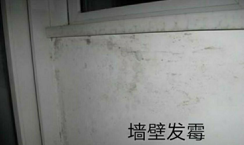 墙壁发霉有味道怎么去除