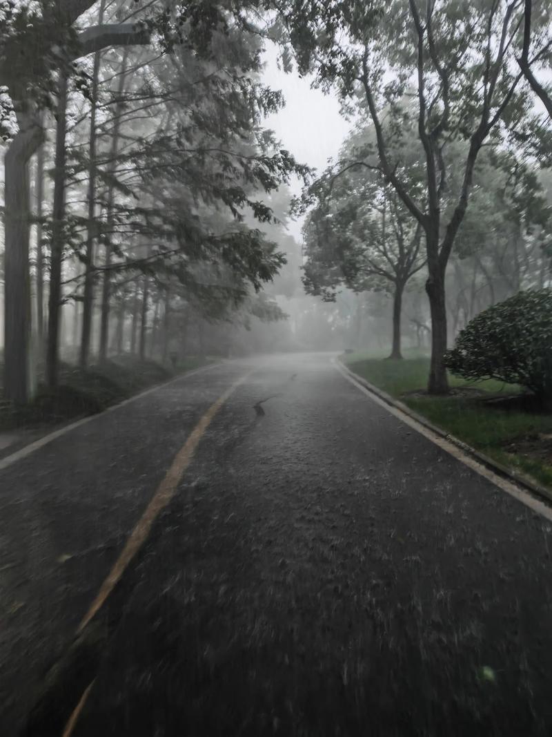 前路慢慢雨飞飞原唱缩略图