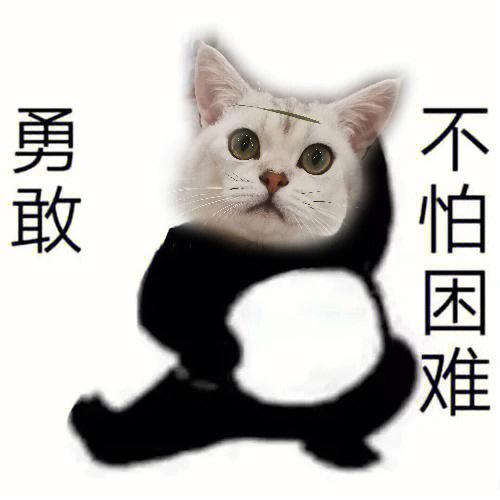 勇敢的表情