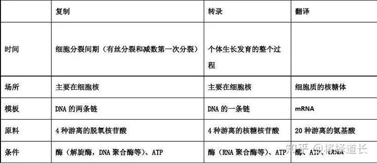 复制与转录的共同点
