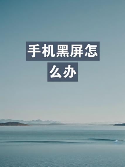 小米盒子3增强版黑屏怎么解决