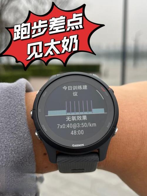 佳明最大心率在哪设置