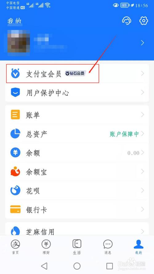 钻石会员支付宝
