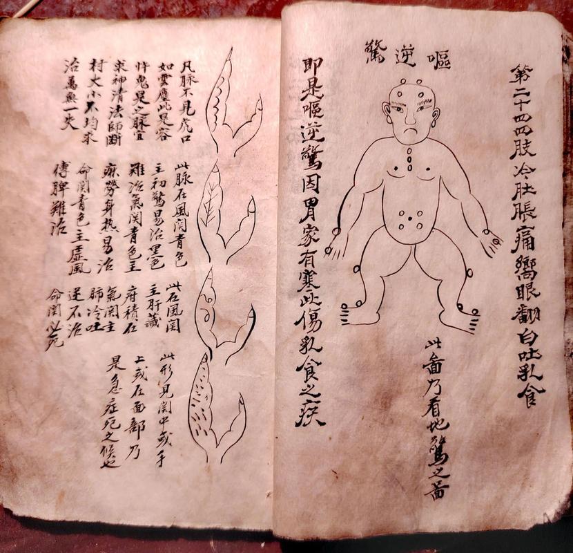 如新常青配方
