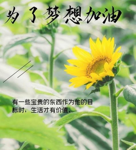 正能量动力图片