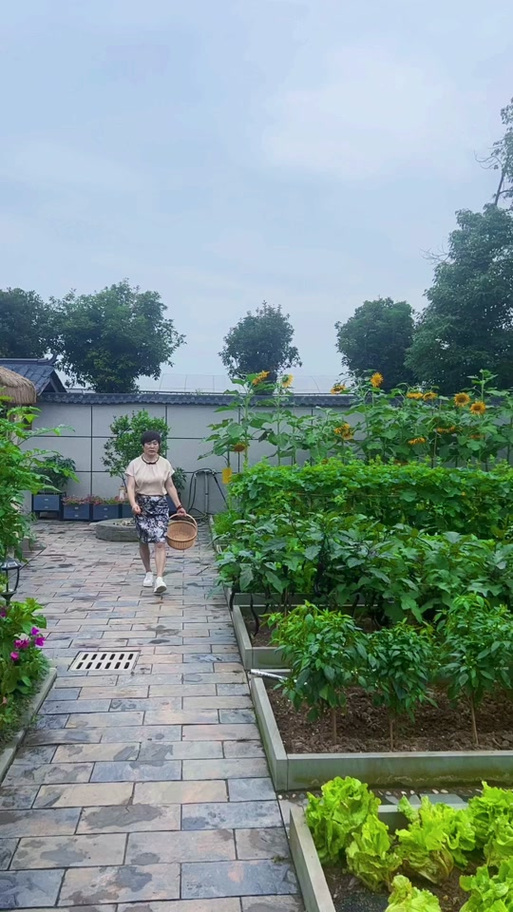 我的农家小生活