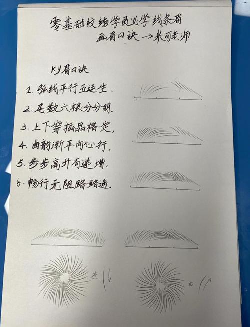 画眉鸟养几年才能打