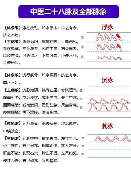 洪脉和实脉的区别图标