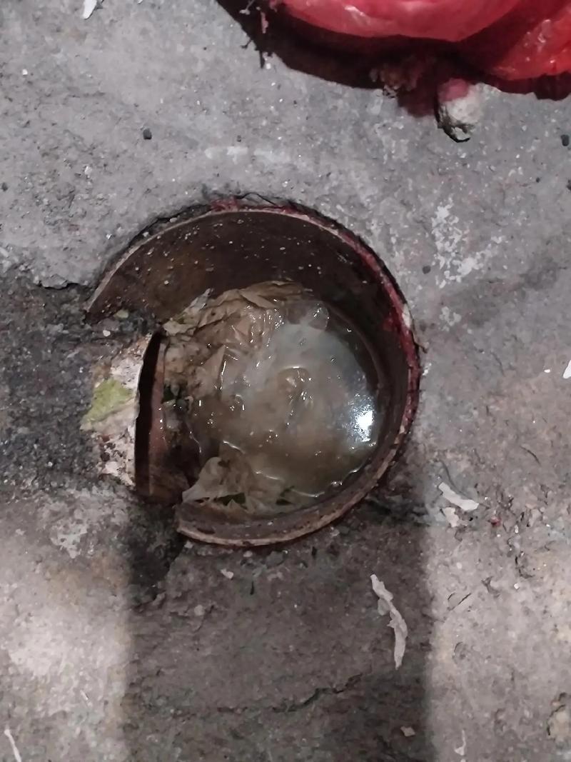 毛巾掉下水道多久会烂