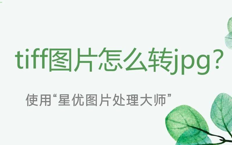 照片格式大小怎么更改